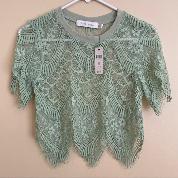 Anthropologie Bishop Young NEW Sheer Lacy Top Lace Blouse Light Green Scallop PS - Picture 4 of 9